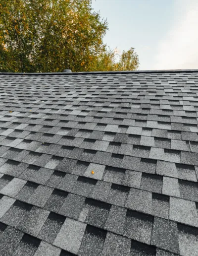 A gray shingled roof with trees in the background.